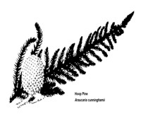 sgap logo 200x168px 150dpi.jpg
